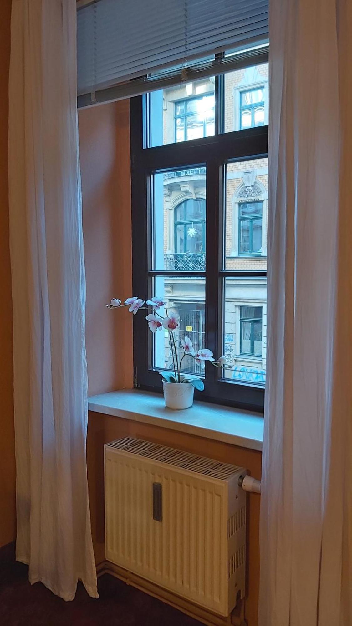 City-Ferienwohnungen-Dresden - Zentral Gelegen Im Haus Louisenstrasse 11 - Dresden-Neustadt Extérieur photo