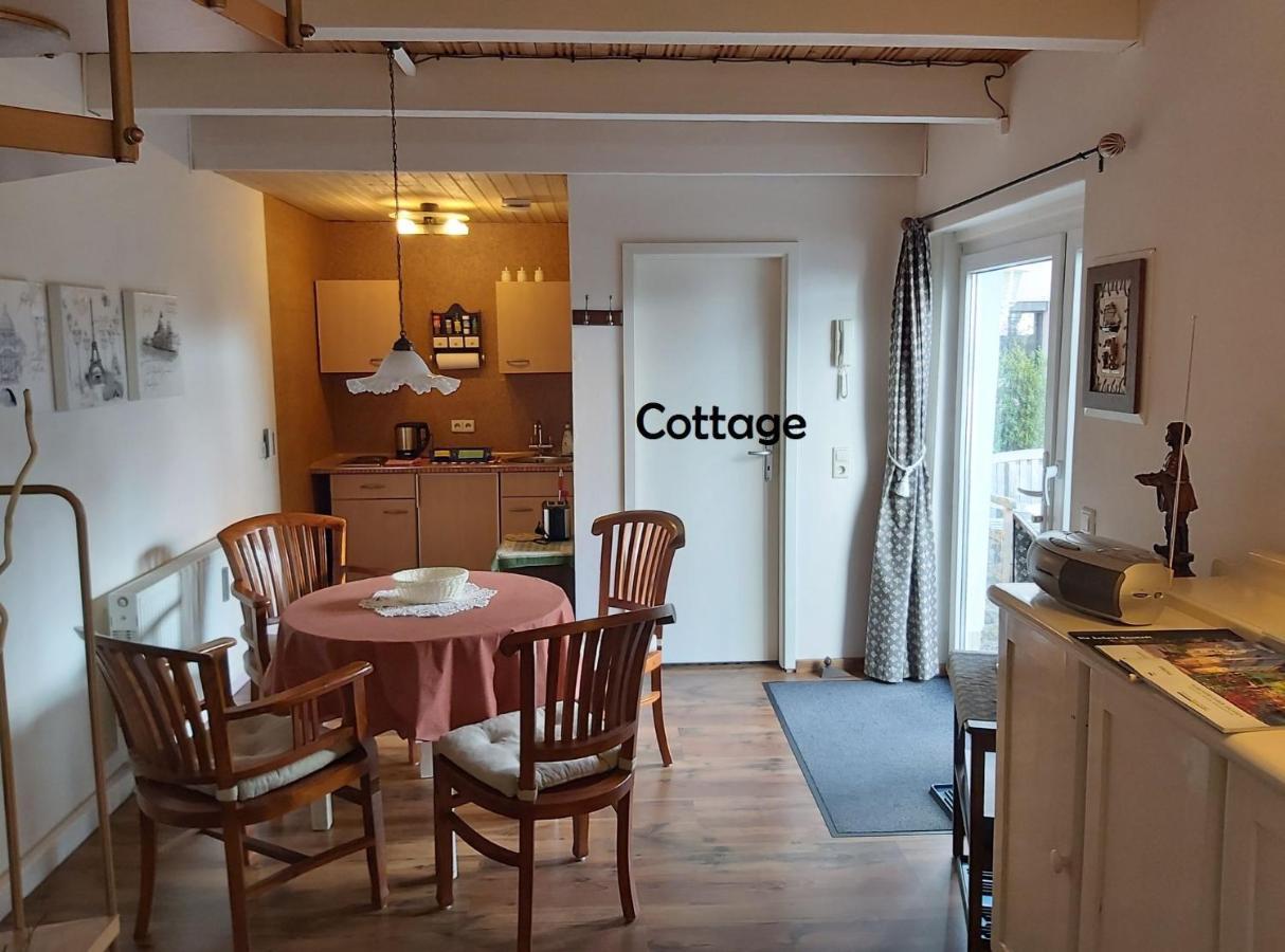 City-Ferienwohnungen-Dresden - Zentral Gelegen Im Haus Louisenstrasse 11 - Dresden-Neustadt Extérieur photo